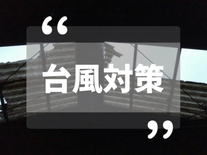 今の時期しておくべき【台風対策】